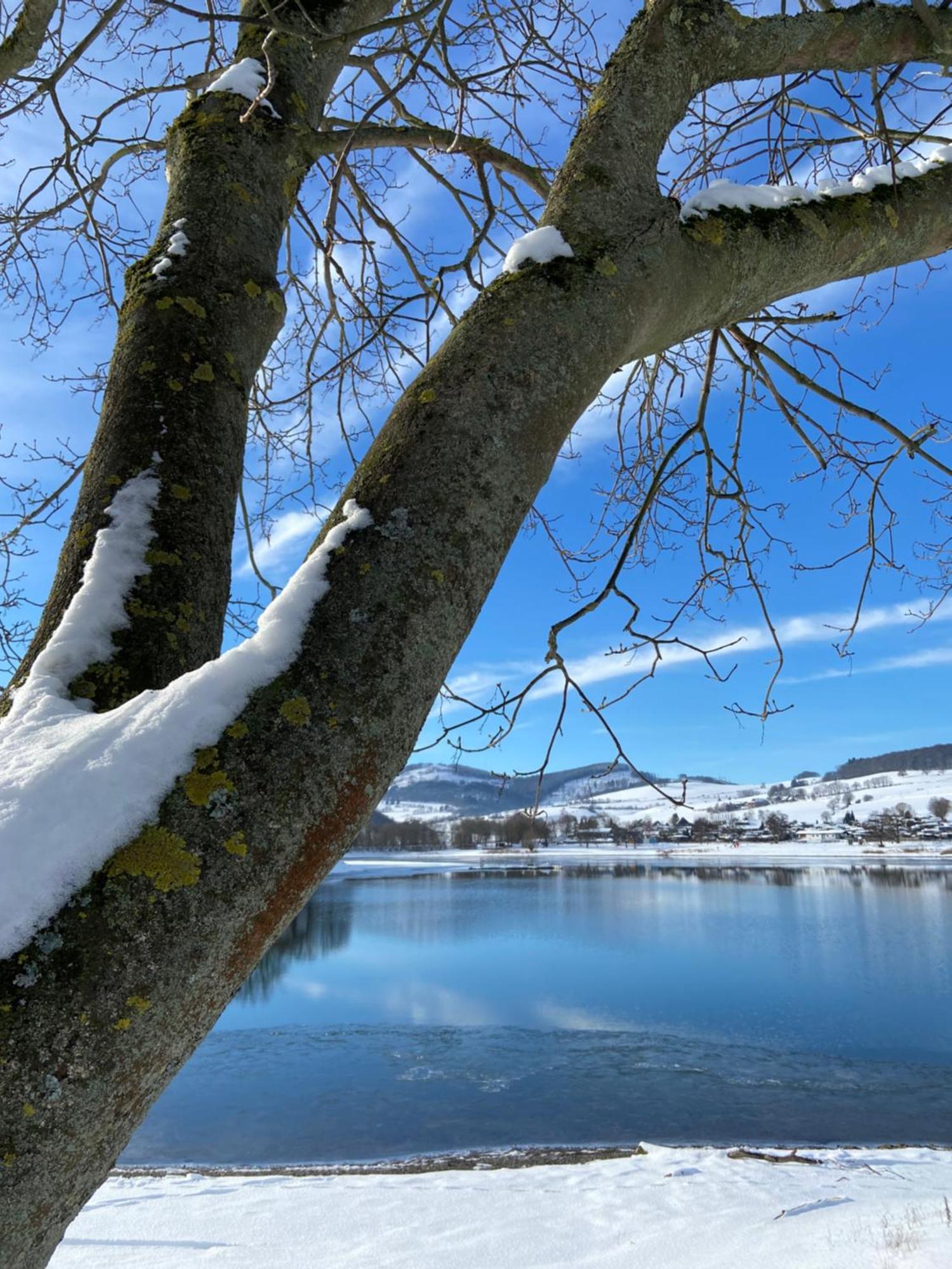 Fewo Panorama Diemelsee 外观 照片